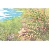 Trends International Fruits Basket - Hiro Soma Unframed Wall Poster Prints - 4 of 4