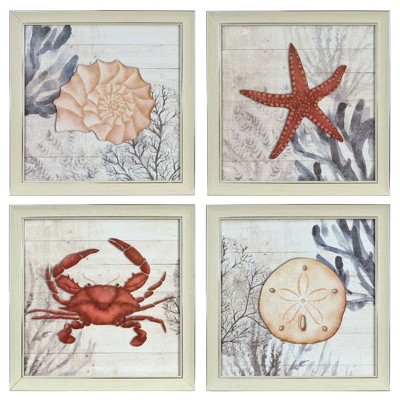 (Set of 4) 16.5" x 16.5" Ava Barrett Coastal Sealife Arts Framed Behind Glass - New View