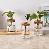 Window Garden Desktop Plant Terrarium Vase with Lid, Set of 3, Clear - 2 of 4