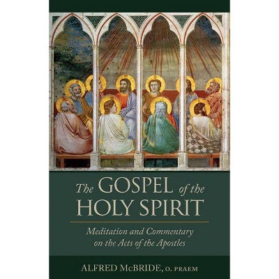 The Gospel of the Holy Spirit - by  Alfred McBride (Paperback)