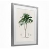 Stupell Industries Vintage Palm Study Framed Print Under Glass - 2 of 4