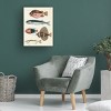 Trademark Fine Art - Louis Renard  Renard Tropical Fish IV Canvas Art - 3 of 4