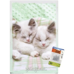 Trends International Keith Kimberlin - Kitten 09 Unframed Wall Poster Prints - 1 of 4