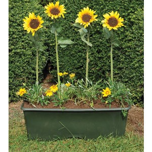 Earthbox Early Learning Site Pack - 1 of 3