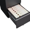 INFURNIC Decorative Storage Cabinet Rolling 2 Drawer File Cabinet with Lock for Office Use, Black, 17"*20"*28" - 2 of 4