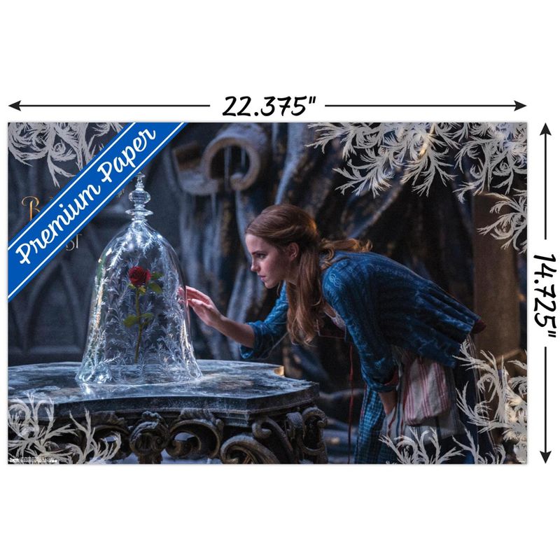 Trends International Disney Beauty And The Beast - Rose Unframed Wall Poster Prints, 3 of 7