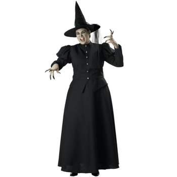 InCharacter Wretched Witch Women's Plus Size Costume