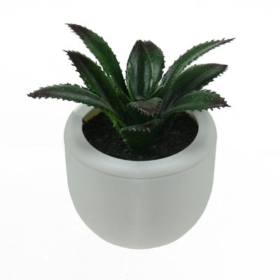 Northlight 3.5" Succulent Artificial Potted Plant Table Top Decoration - Green/White