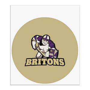 Albion College Secondary Logo Automotive Car Window Locker Circle Bumper Sticker - 1 of 4