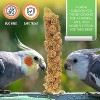 Vivlly – 5 lb Sun-Dried Spray Millet – 100% Natural Non-GMO Bird Treat for Parakeets, Cockatiels & Finches - 4 of 4