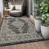 Outdoor Area Rug Waterproof Lightweight Vintage Oriental Carpet Easy Clean Camping RV Floor Mat for Patio Porch Deck Balcony - 2 of 4