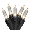 Northlight LED Mini Christmas Lights - Warm White - 33' Black Wire - 100ct - 2 of 3