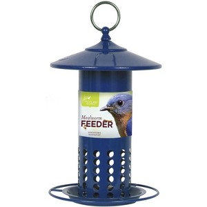 Pacific Bird & Supply CO Galvanized Steel Mealworm Feeder - Blue (11.25") - 1 of 1