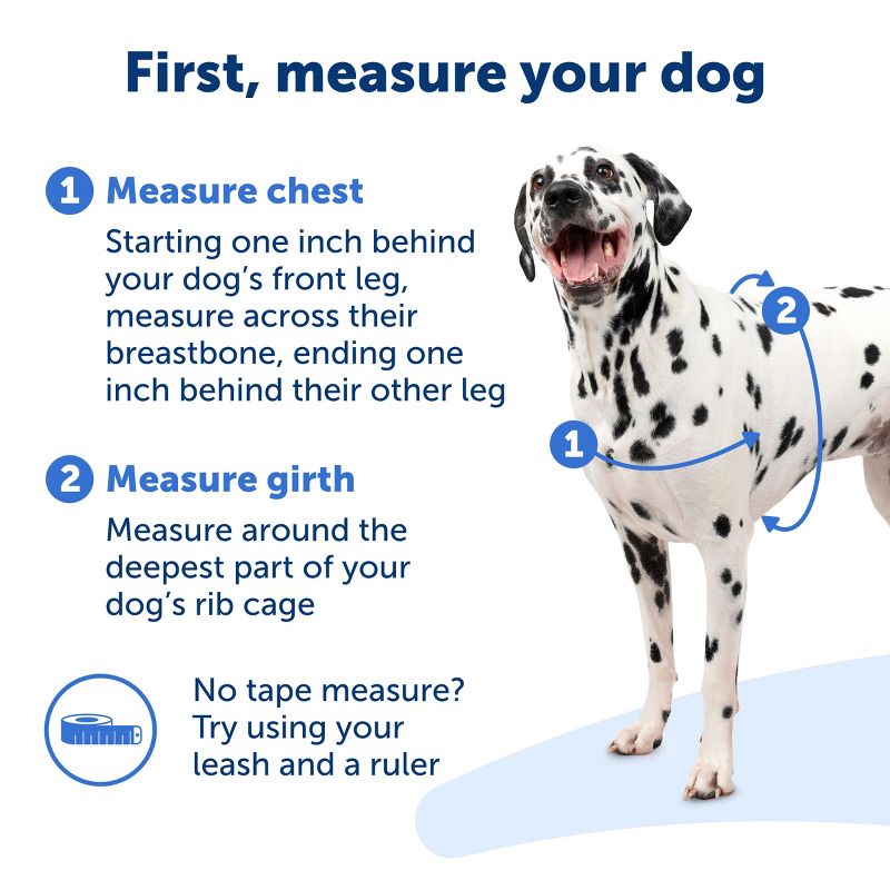 PetSafe Easy Walk Adjustable Dog Harness, 6 of 11