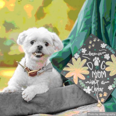 Small Charcoal Gray Orthopedic Foam Outdoor Dog Bed