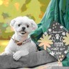 Barker Junior 4" Orthopedic Dog Bed - 2 of 4