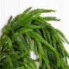 Nearly Natural 10' Artificial Real Touch Norfolk Island Pine Garland with Natural Look - 2 of 4