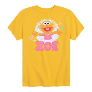 Boys' - Sesame Street - Zoe Scribble Short Sleeve Graphic T-Shirt - 1 of 4