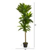 Nearly Natural 56-in Dracaena Artificial Plant (Real Touch) - 2 of 4