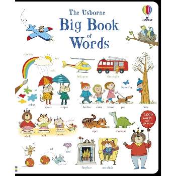 Big Book of Words - by  Mairi MacKinnon & Hannah Wood (Board Book)