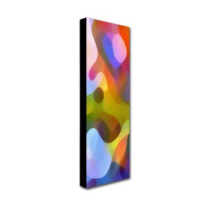 Trademark Fine Art -Amy Vangsgard 'Dappled Light Panoramic Vertical 3' Canvas Art - 1 of 3