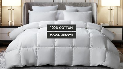 Beautyrest Cotton Softy-Aroundfeather And Down Euro Pillow (2PK