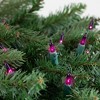 Vickerman 100ct Mini String Lights Pink/Purple - 32' Green Wire - image 3 of 3