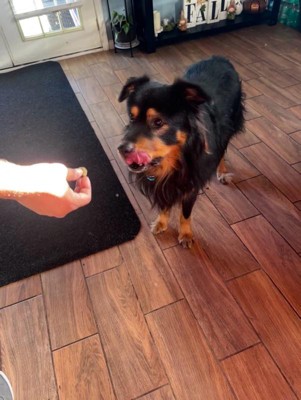 Guest review image 1 of 2, zoom in