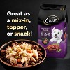 Cesar Simply Crafted Variety Pack Small Breed Wet Dog Food - 1.3oz/8ct - 4 of 4