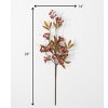 Sullivans Berry Leaf Artificial Stem 28"H Brown - 3 of 3