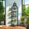Kumasinova 4 Tier Book Shelf,Freestanding Bird Cage Design Bookcase with Open Storage Shelves for Living Room,Bedroom,Office,Brown - 2 of 4