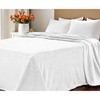 HomeRoots Twin Ivory Fleece Woven Polka Dots Plush Blanket - 2 of 4