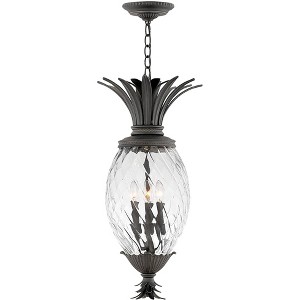 Hinkley Plantation 28 1/2" High Black 4-Light Outdoor Hanging Light - 1 of 1