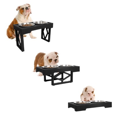 Black Elevated Dog Feeding Station with Stainless Steel Bowls