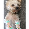 Doggie Design Non-Skid Dog Socks - Pink Pineapple - 4 of 4