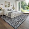 Machine Washable Rug for Living Room - 4 of 4