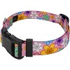 Country Brook Petz Deluxe Dog Collar - Floral Collection - 2 of 4