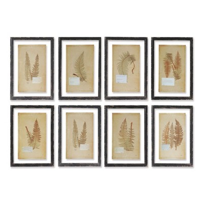Plum & Post Framed Vintage Fern Prints, Set Of 8