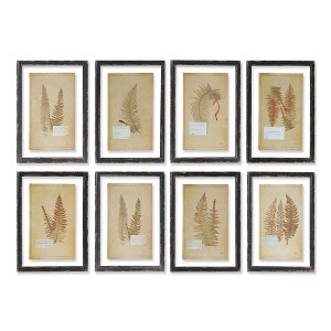 Plum & Post Framed Vintage Fern Prints, Set Of 8 - 1 of 4