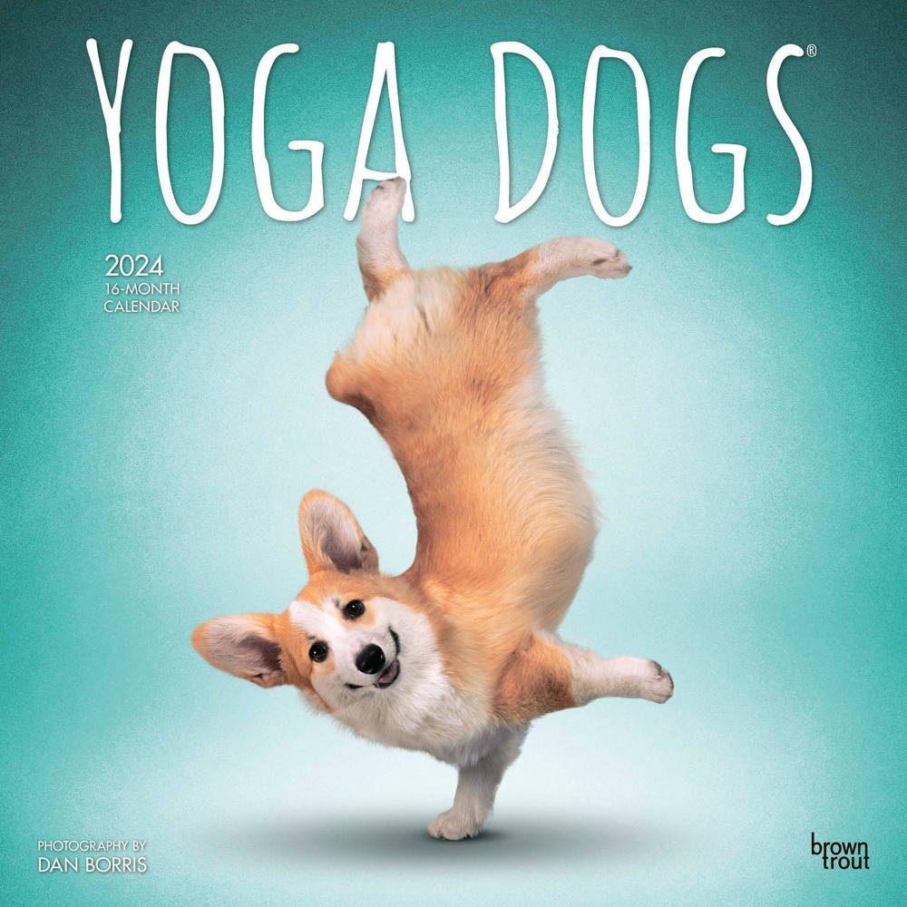 Yoga Dogs OFFICIAL | 2024 12x24  Hanging) Wall Calendar 