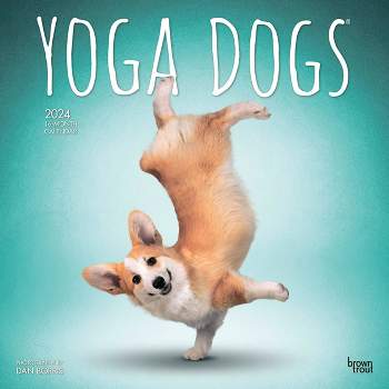 Browntrout 2024 Wall Calendar 12"x12" Yoga Dogs