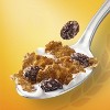 Kellogg's Raisin Bran Breakfast Cereal - image 3 of 4