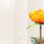 1 pcs 100cm orange