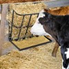 BENCMATE Pet Bowl Heavy Duty Wall Mounted Hay Feeder, Large Capacity Livestock Feeding Rack for Horses, Goats and Sheep, Black, 24.41"*23.62"*6.3" - 2 of 4