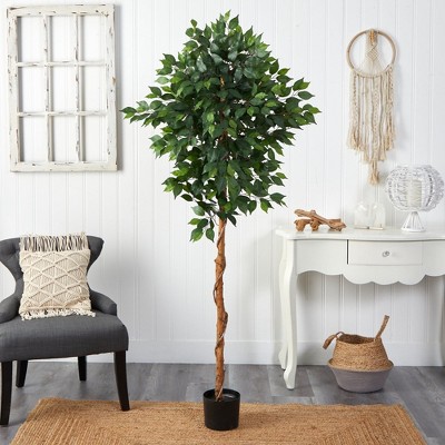 Elegant Ficus Floor Plant with Lifelike Leaves and Lights, 6ft
