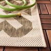 Courtyard CY6915 Power Loomed Indoor and Outdoor Rug - Safavieh - 3 of 4