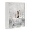 Stupell Industries Baby Zebra Bath Time, 17" x 17" - 3 of 4