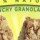 Nature Valley Crunchy Oats &#39;N Honey Granola Bars - 24ct