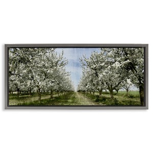 Stupell Industries Blooming White Tree Orchard, 25" x 11" - 1 of 4