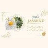 Freida & Joe  Jasmine Fragrance Bath & Body Collection in White Tissue Box Gift Set - 4 of 4